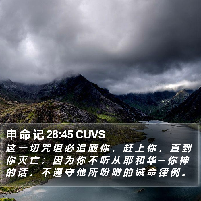 申 命 记 28:45 CUVS Bible Study