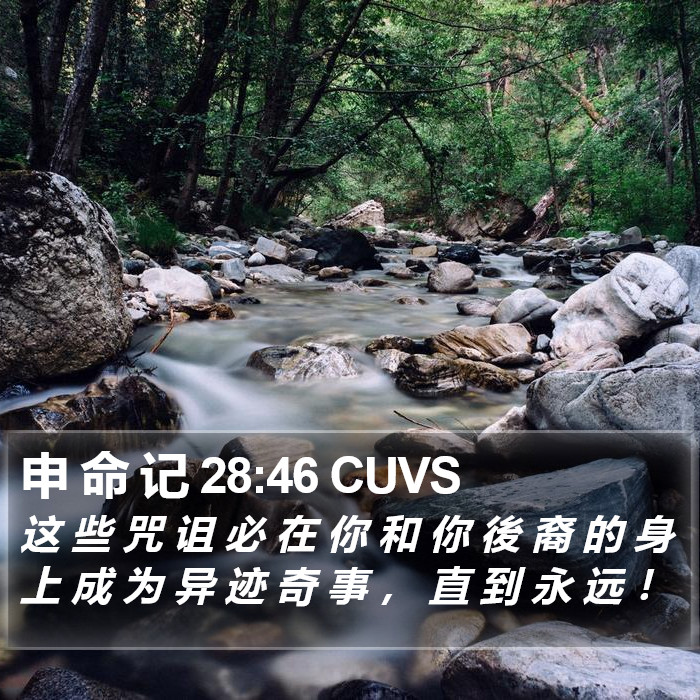 申 命 记 28:46 CUVS Bible Study