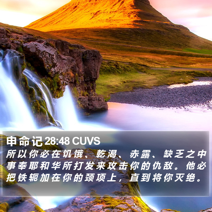 申 命 记 28:48 CUVS Bible Study