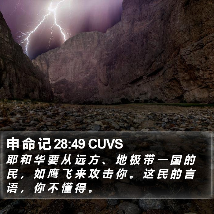 申 命 记 28:49 CUVS Bible Study