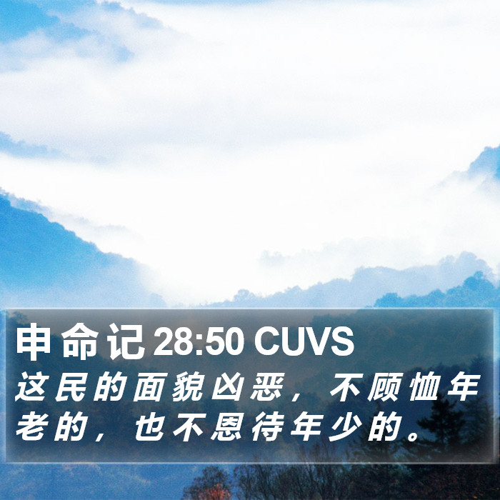 申 命 记 28:50 CUVS Bible Study