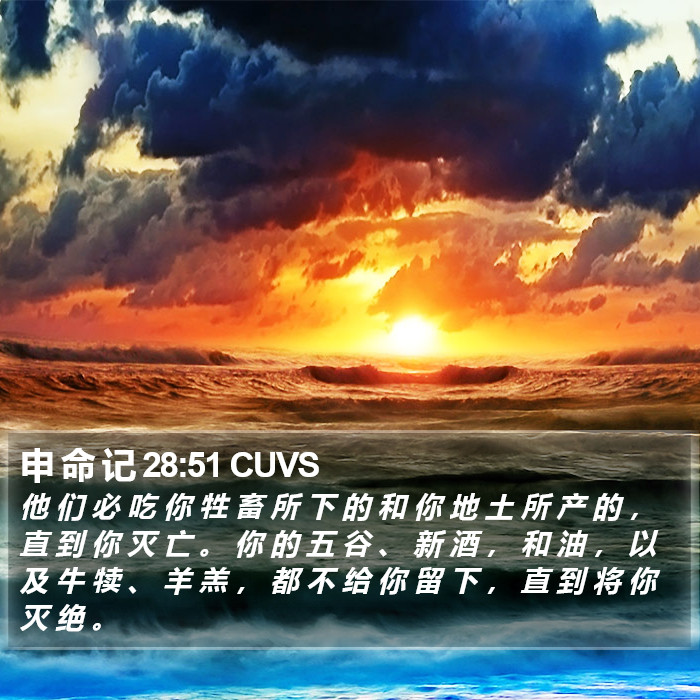 申 命 记 28:51 CUVS Bible Study