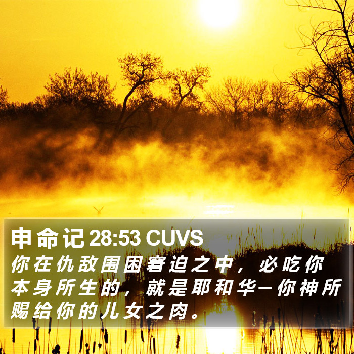 申 命 记 28:53 CUVS Bible Study