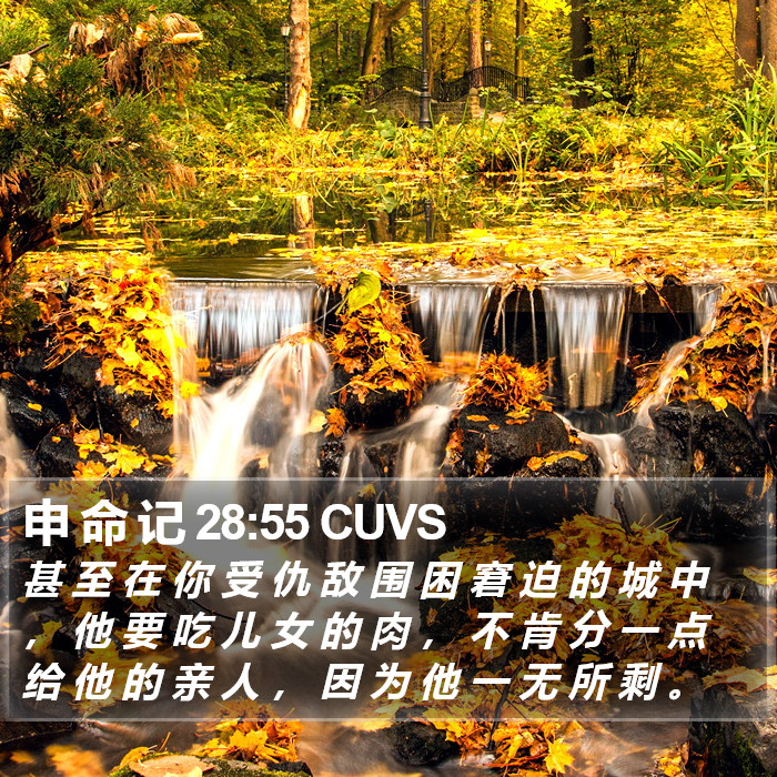 申 命 记 28:55 CUVS Bible Study