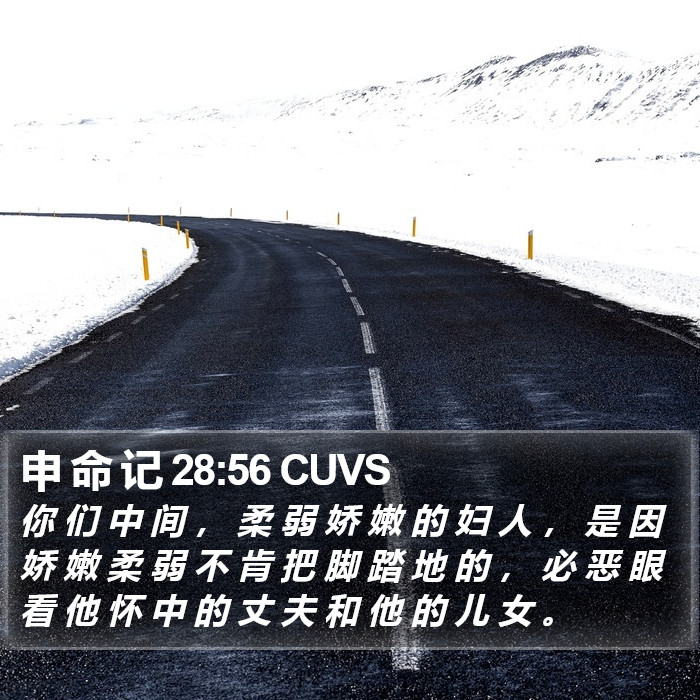 申 命 记 28:56 CUVS Bible Study