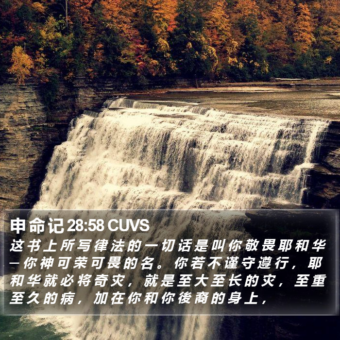 申 命 记 28:58 CUVS Bible Study