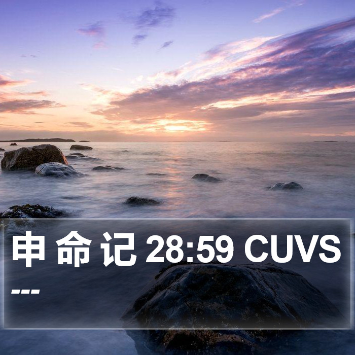 申 命 记 28:59 CUVS Bible Study