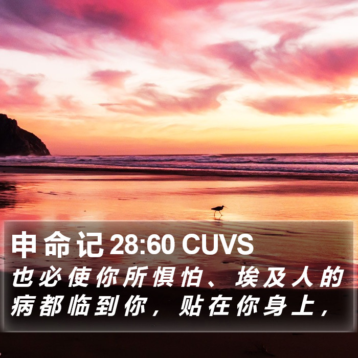 申 命 记 28:60 CUVS Bible Study