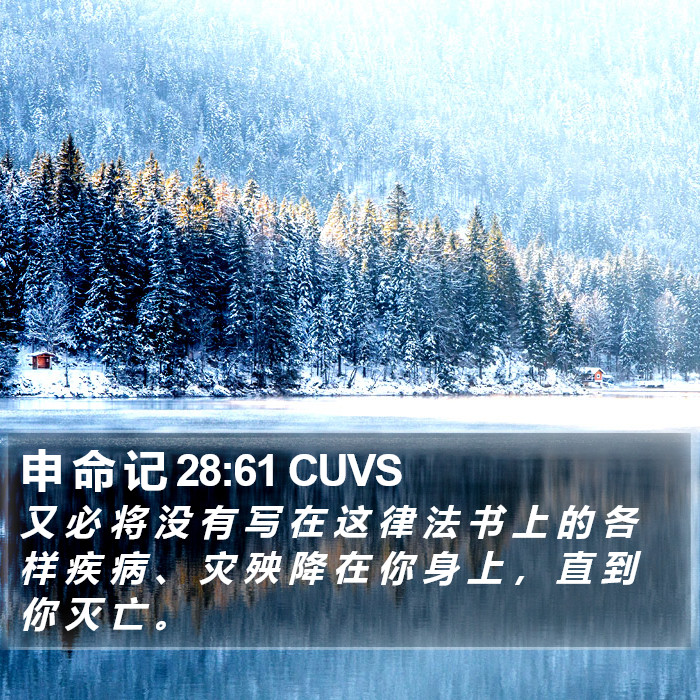 申 命 记 28:61 CUVS Bible Study