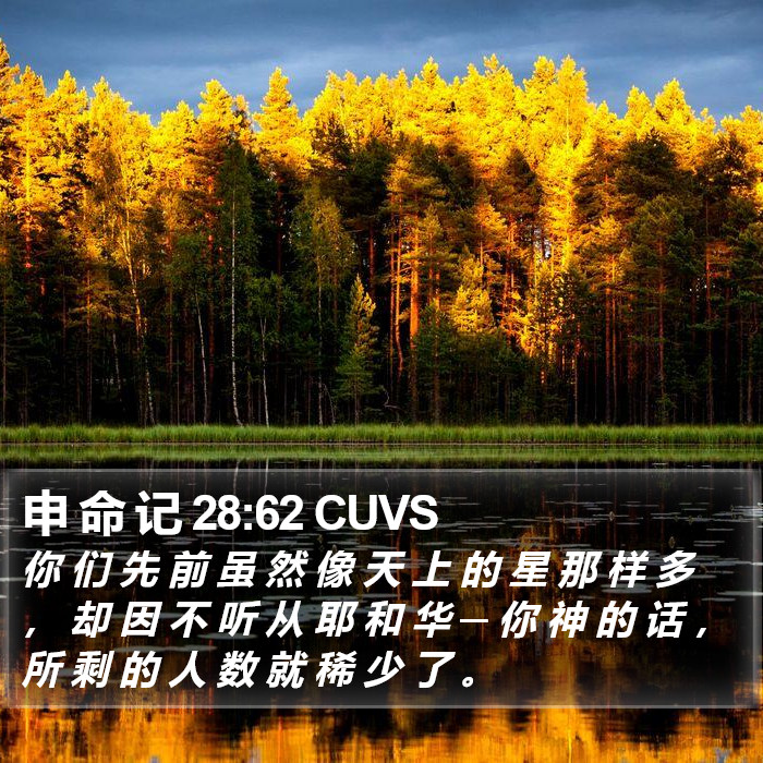 申 命 记 28:62 CUVS Bible Study