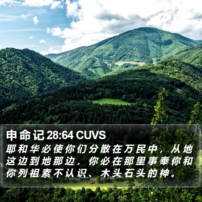 申 命 记 28:64 CUVS Bible Study