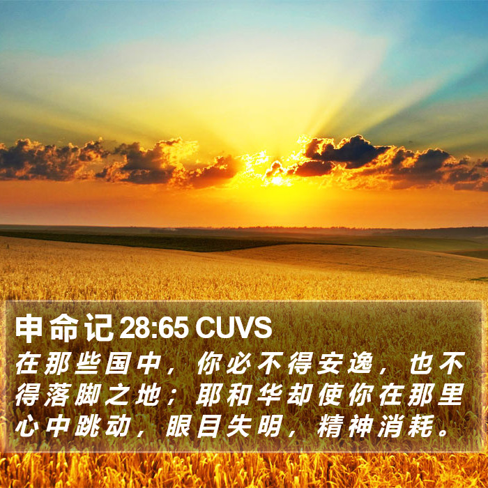 申 命 记 28:65 CUVS Bible Study