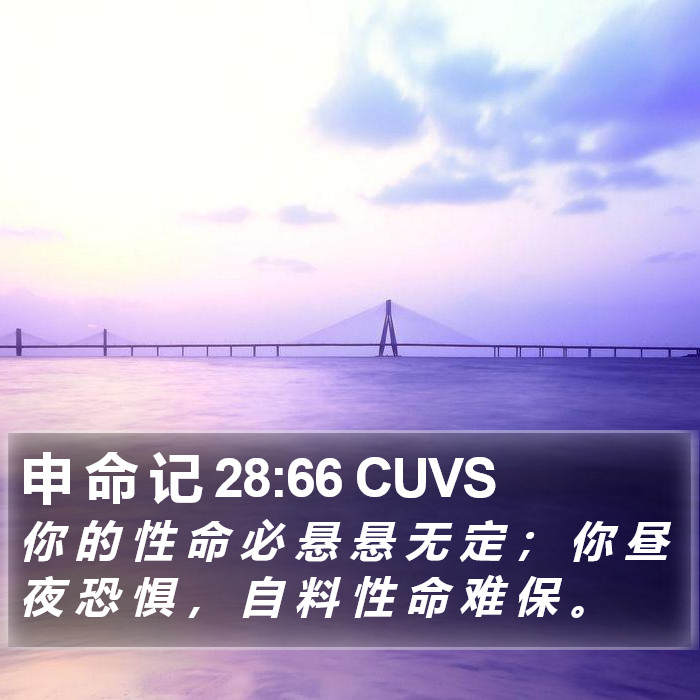 申 命 记 28:66 CUVS Bible Study