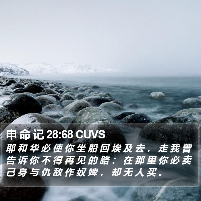 申 命 记 28:68 CUVS Bible Study