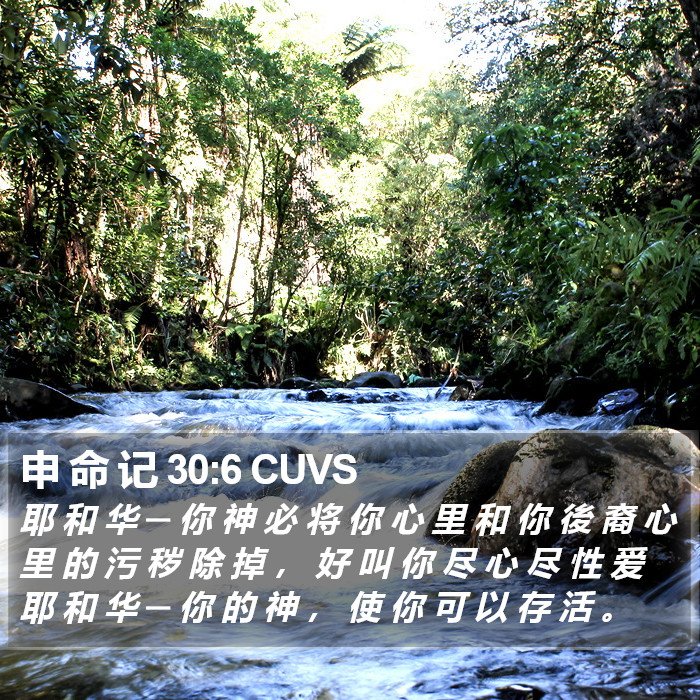 申 命 记 30:6 CUVS Bible Study