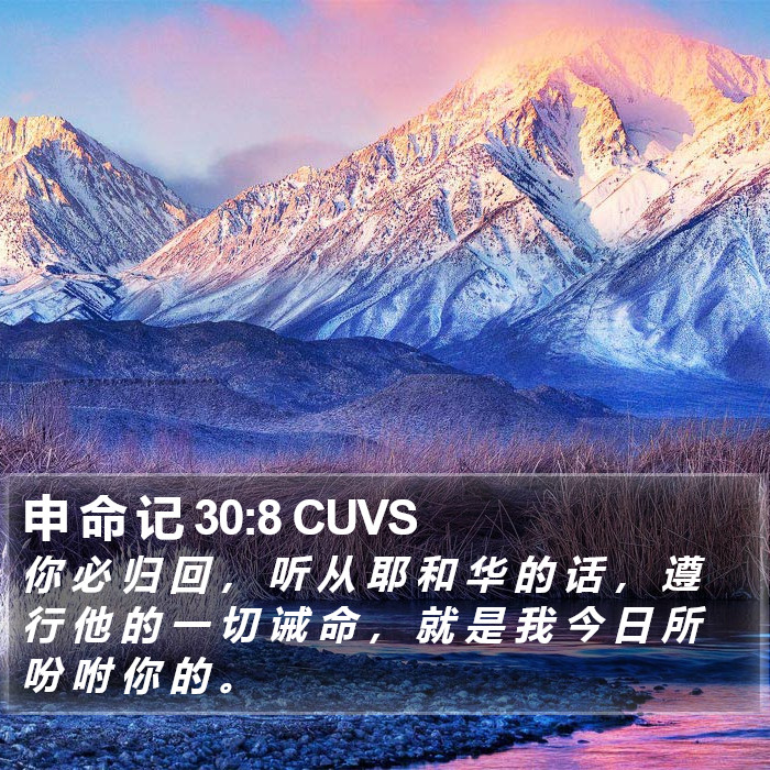 申 命 记 30:8 CUVS Bible Study