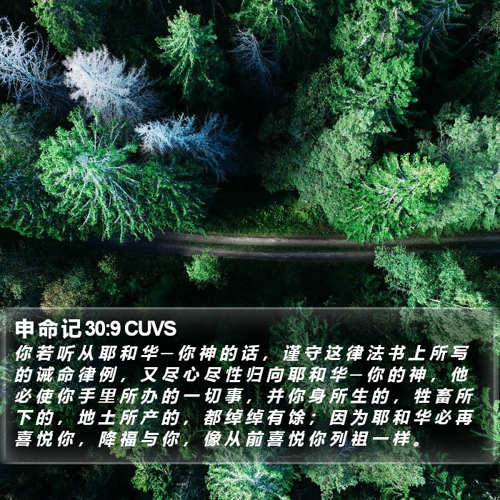 申 命 记 30:9 CUVS Bible Study
