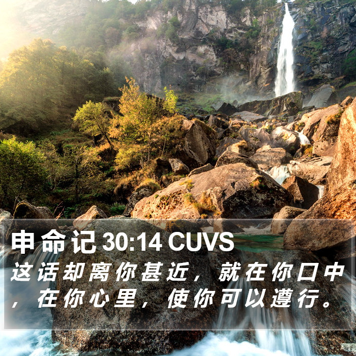 申 命 记 30:14 CUVS Bible Study