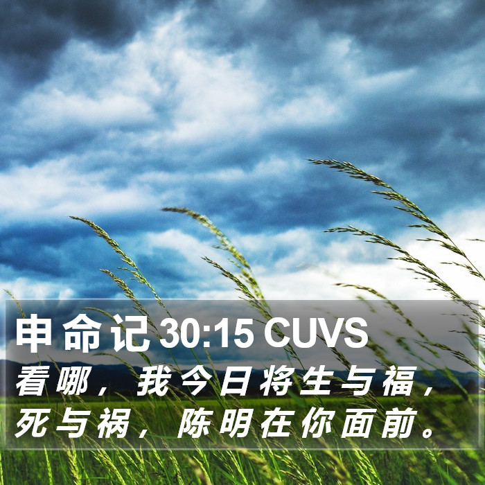 申 命 记 30:15 CUVS Bible Study