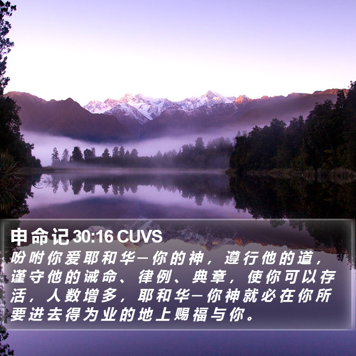 申 命 记 30:16 CUVS Bible Study