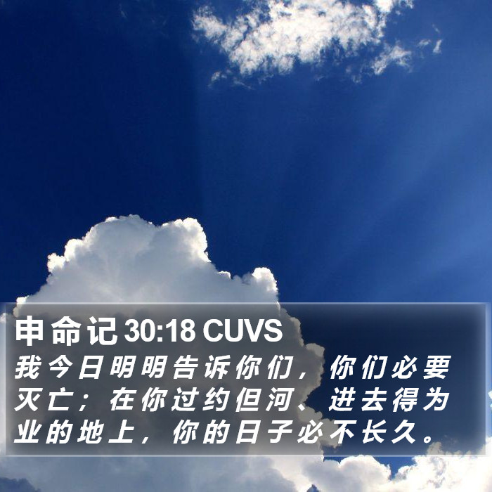 申 命 记 30:18 CUVS Bible Study