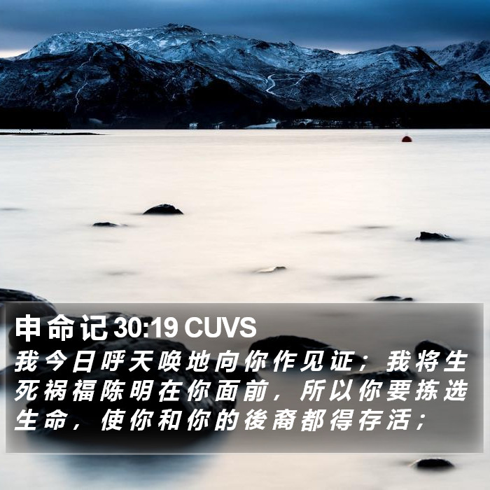 申 命 记 30:19 CUVS Bible Study