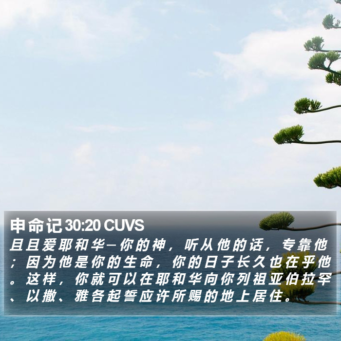 申 命 记 30:20 CUVS Bible Study