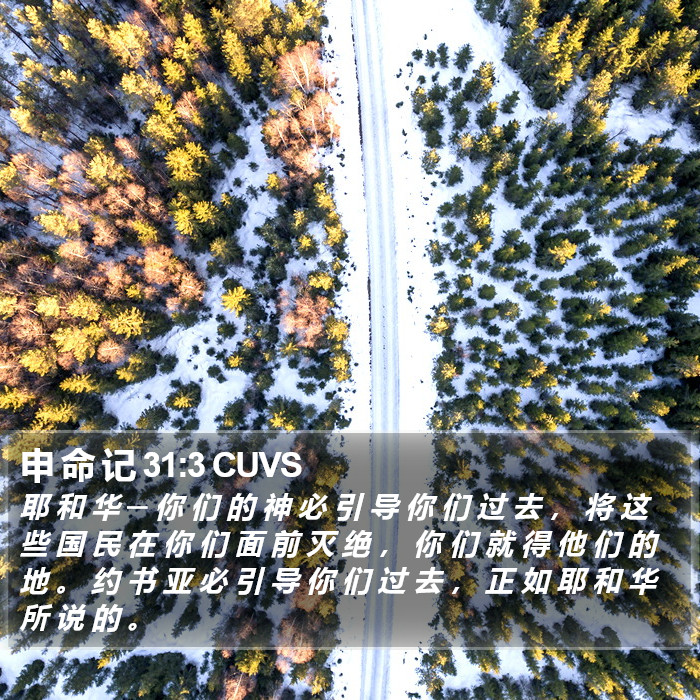 申 命 记 31:3 CUVS Bible Study