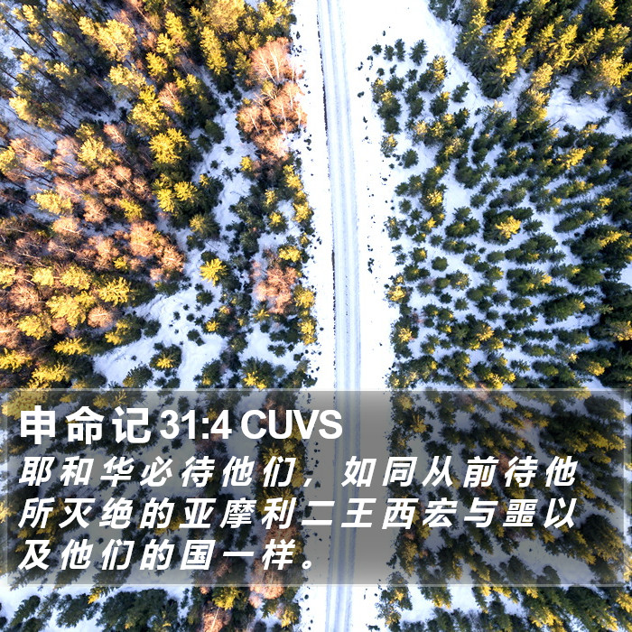 申 命 记 31:4 CUVS Bible Study