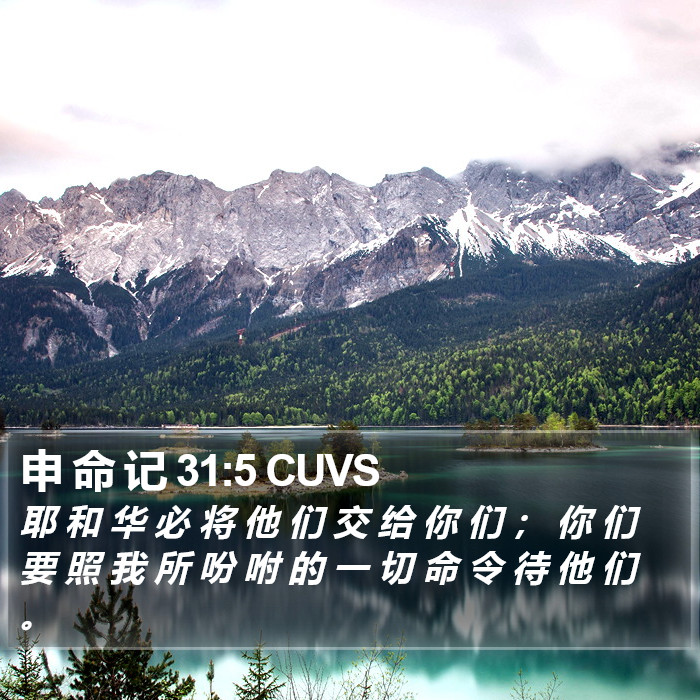 申 命 记 31:5 CUVS Bible Study