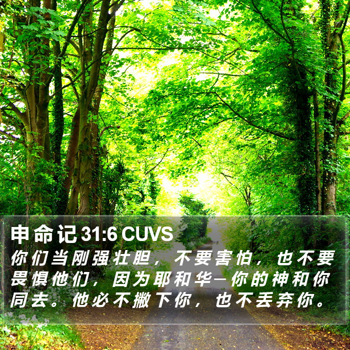申 命 记 31:6 CUVS Bible Study