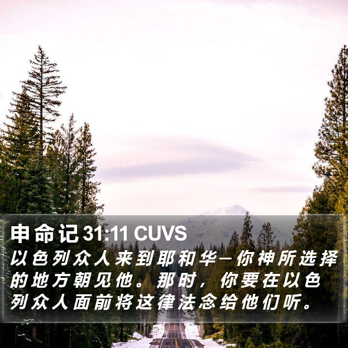 申 命 记 31:11 CUVS Bible Study