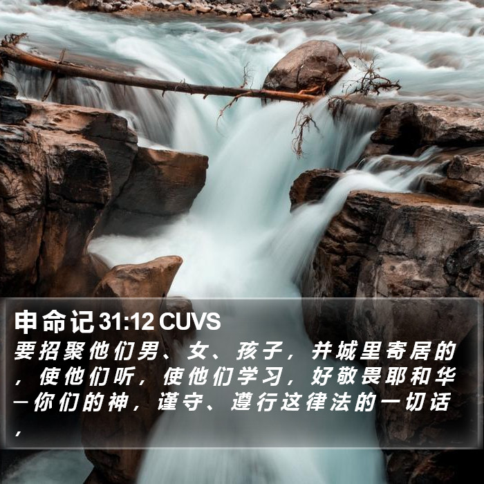申 命 记 31:12 CUVS Bible Study