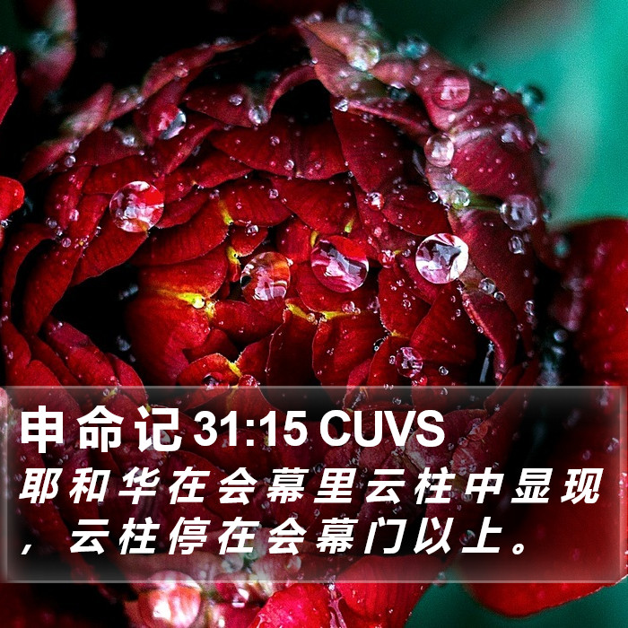 申 命 记 31:15 CUVS Bible Study