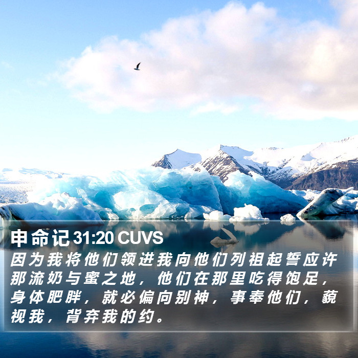 申 命 记 31:20 CUVS Bible Study