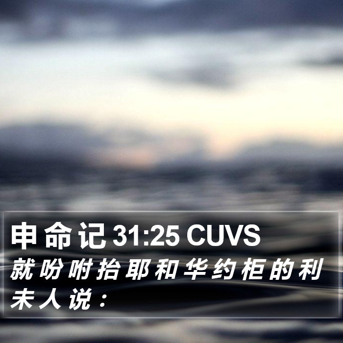 申 命 记 31:25 CUVS Bible Study