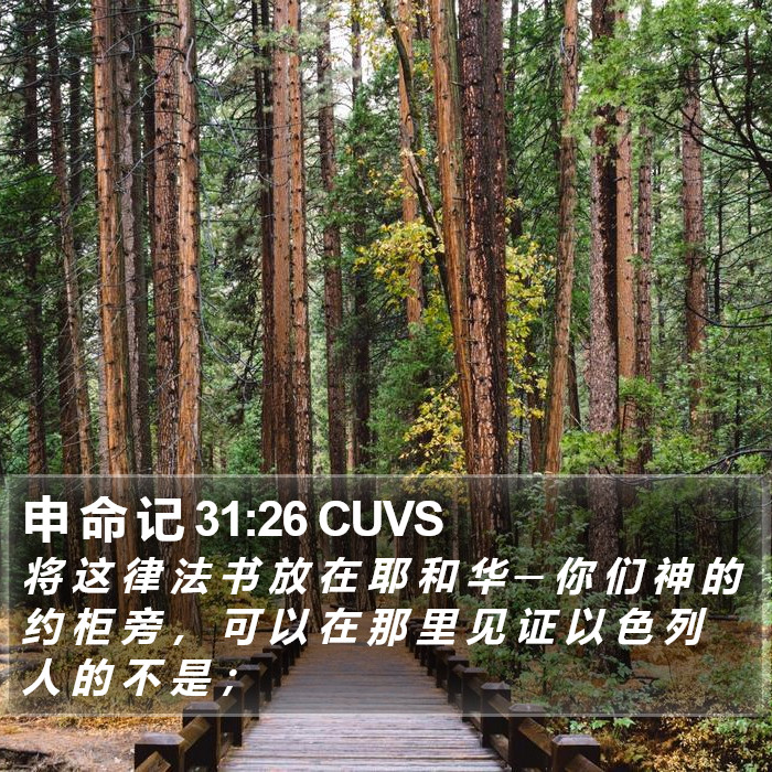 申 命 记 31:26 CUVS Bible Study