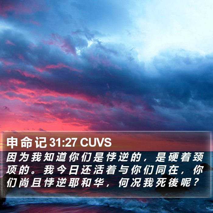 申 命 记 31:27 CUVS Bible Study