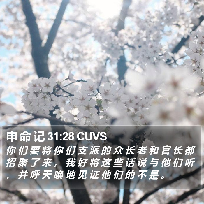 申 命 记 31:28 CUVS Bible Study