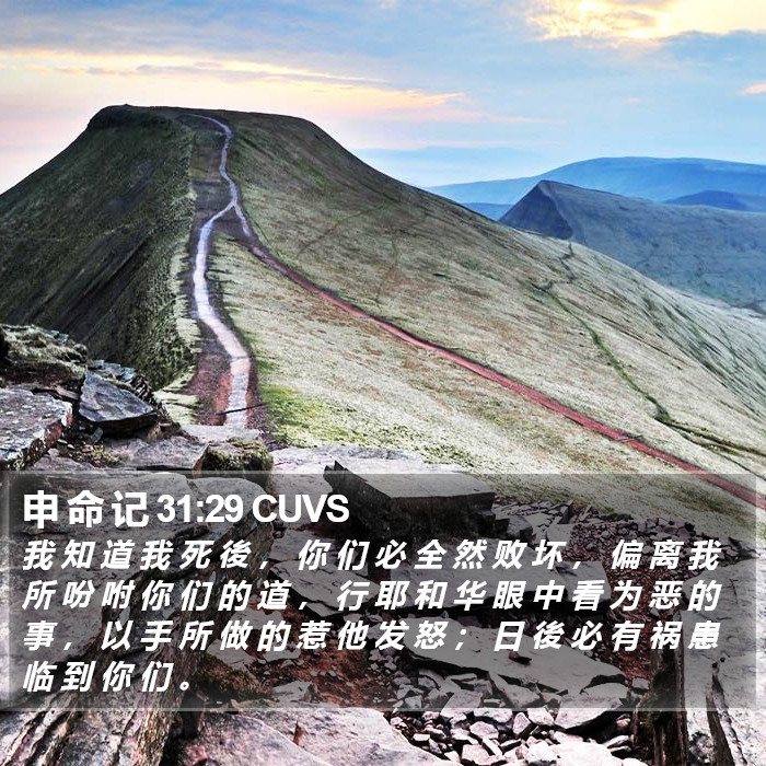 申 命 记 31:29 CUVS Bible Study