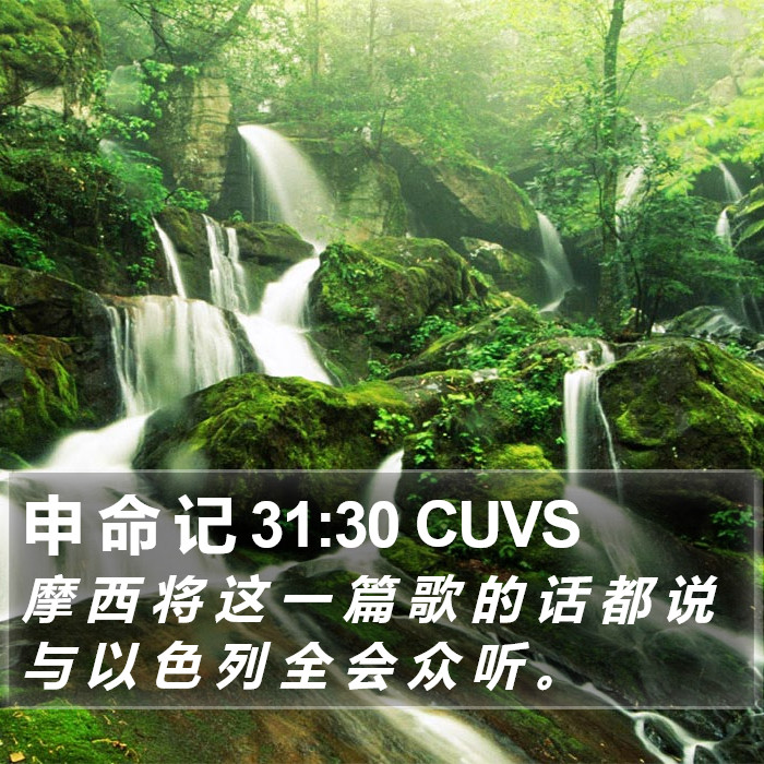 申 命 记 31:30 CUVS Bible Study
