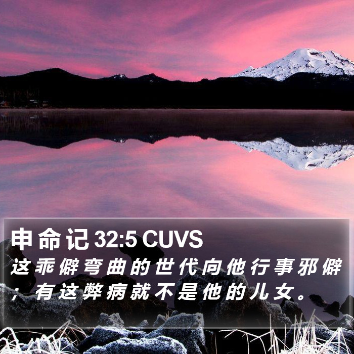 申 命 记 32:5 CUVS Bible Study