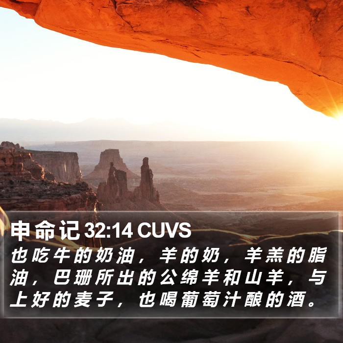 申 命 记 32:14 CUVS Bible Study