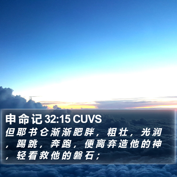 申 命 记 32:15 CUVS Bible Study