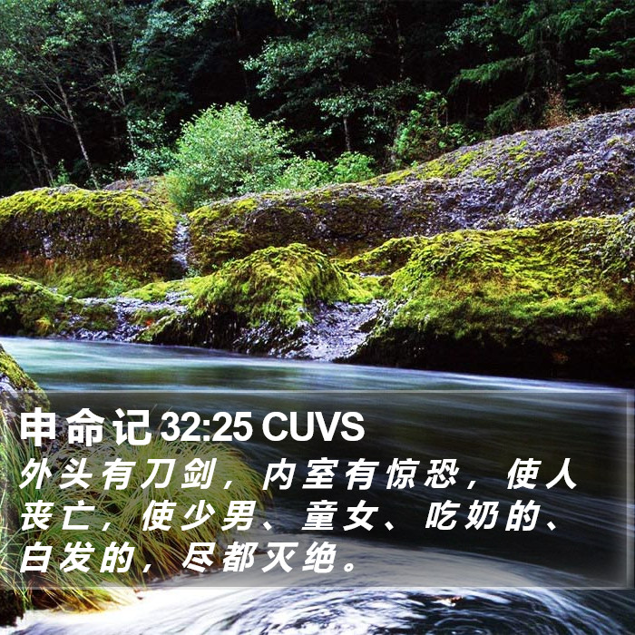 申 命 记 32:25 CUVS Bible Study