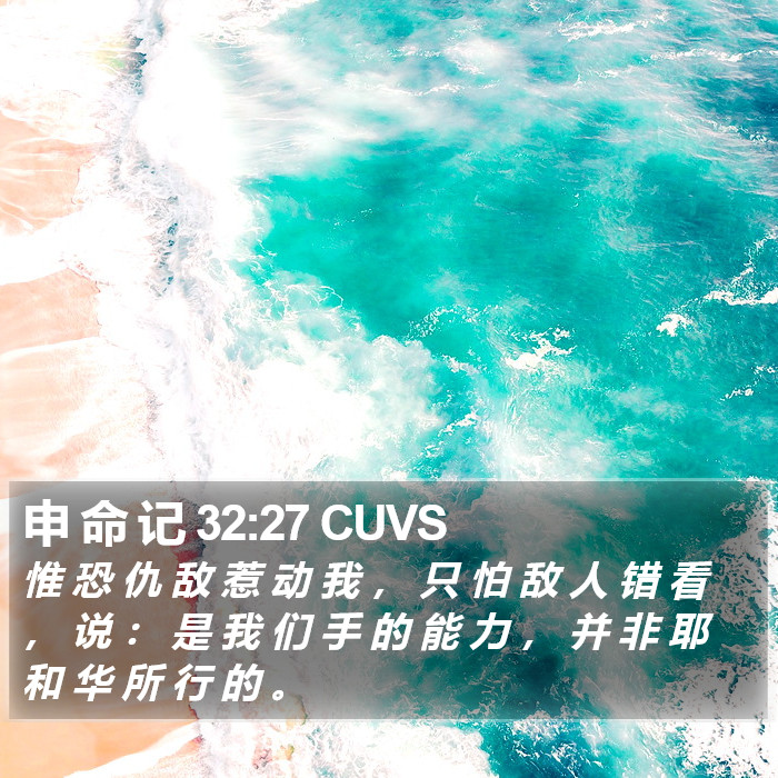 申 命 记 32:27 CUVS Bible Study