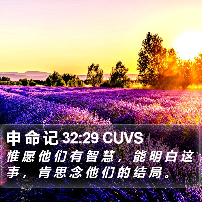 申 命 记 32:29 CUVS Bible Study