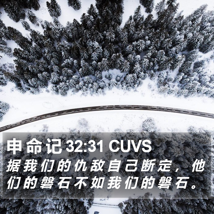 申 命 记 32:31 CUVS Bible Study