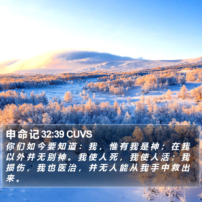 申 命 记 32:39 CUVS Bible Study
