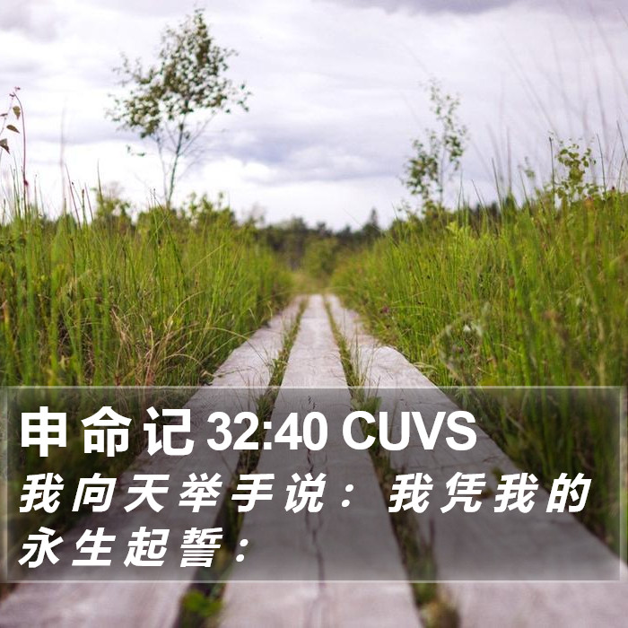 申 命 记 32:40 CUVS Bible Study